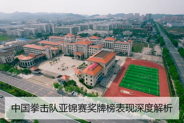 中国拳击队亚锦赛奖牌榜表现深度解析