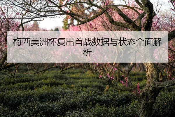 梅西美洲杯复出首战数据与状态全面解析