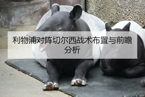 利物浦对阵切尔西战术布置与前瞻分析
